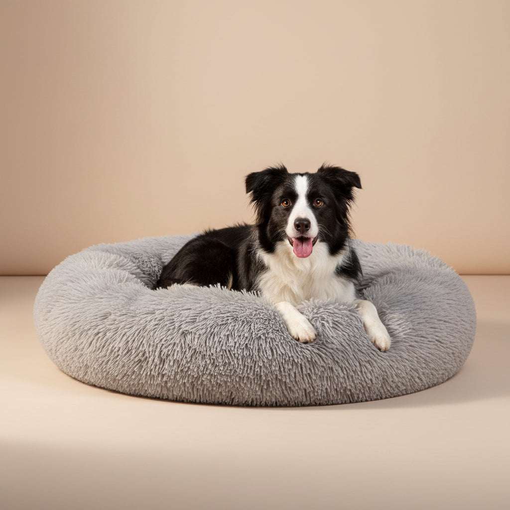A black and white dog lying on a round, fluffy gray pet bed against a plain white background.