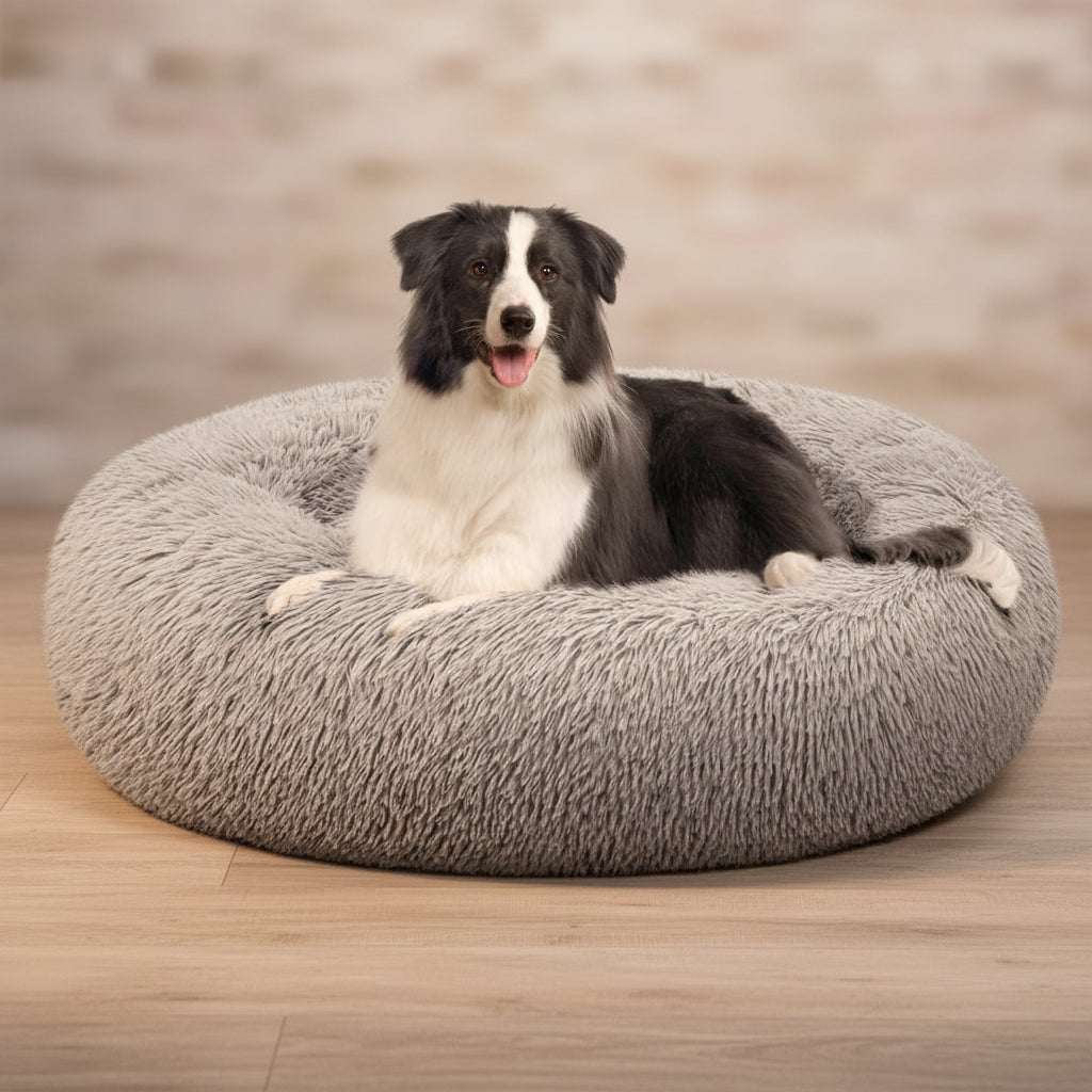 A black and white dog lying on a round, fluffy gray pet bed against a plain white background.