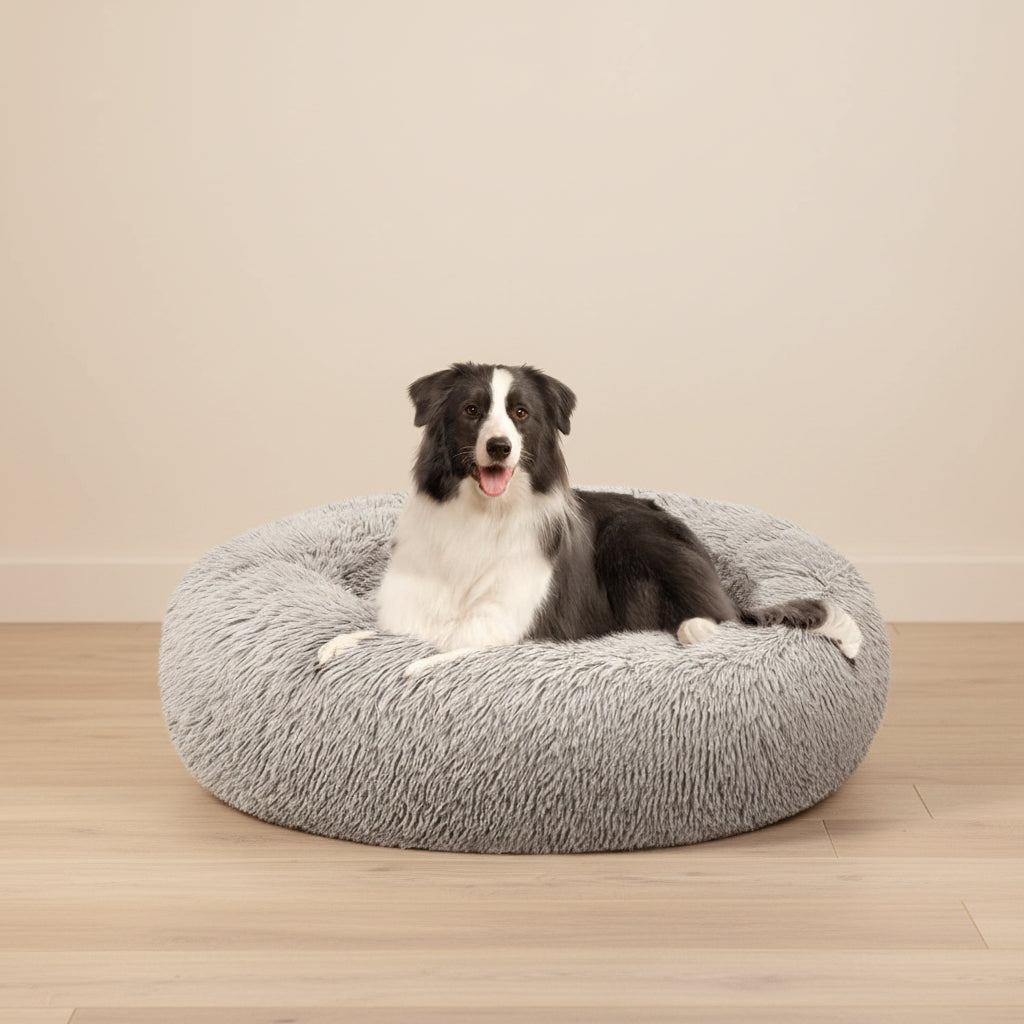 A black and white dog lying on a round, fluffy gray pet bed against a plain white background.