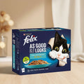 A box of Purina Felix cat food, Ocean Feast Selection in Jelly, featuring a black and white cat peeking out of the packaging on a dark blue background.