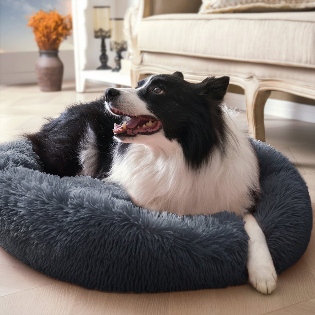Dog lying on a fluffy gray pet bed in a cozy living room.