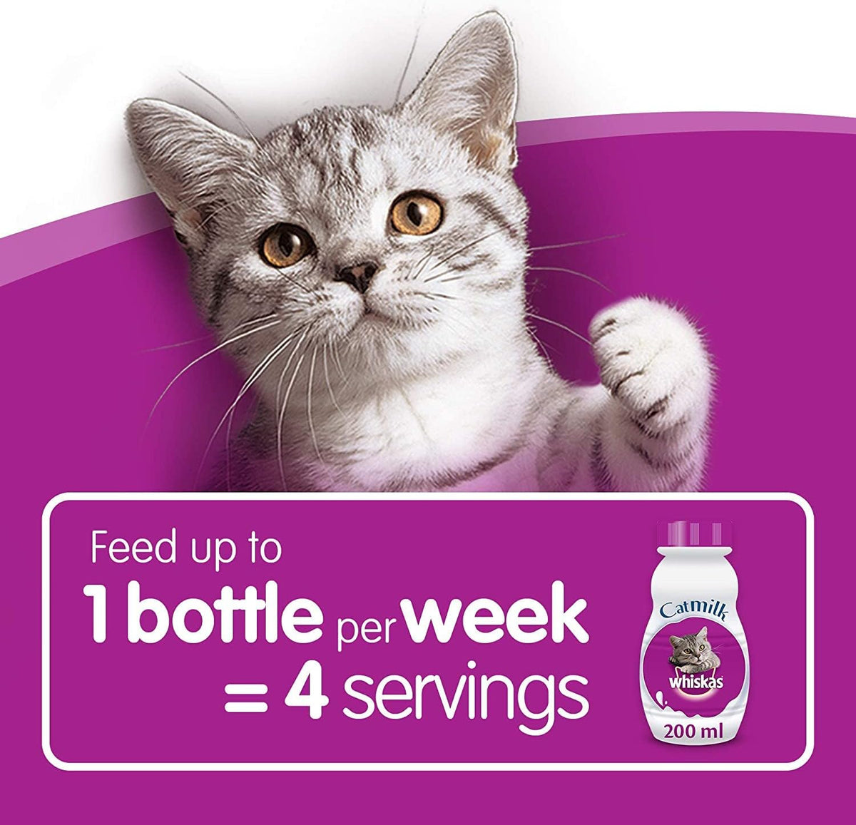 Cat with a bottle of milk on a purple background, featuring text about milk consumption.
