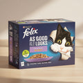 A box of Purina Felix cat food, 'As Good as It Looks' in Jelly flavor, featuring a black and white cat peeking out of the packaging. The box is dark blue with white and purple text and shows a bowl of wet cat food.