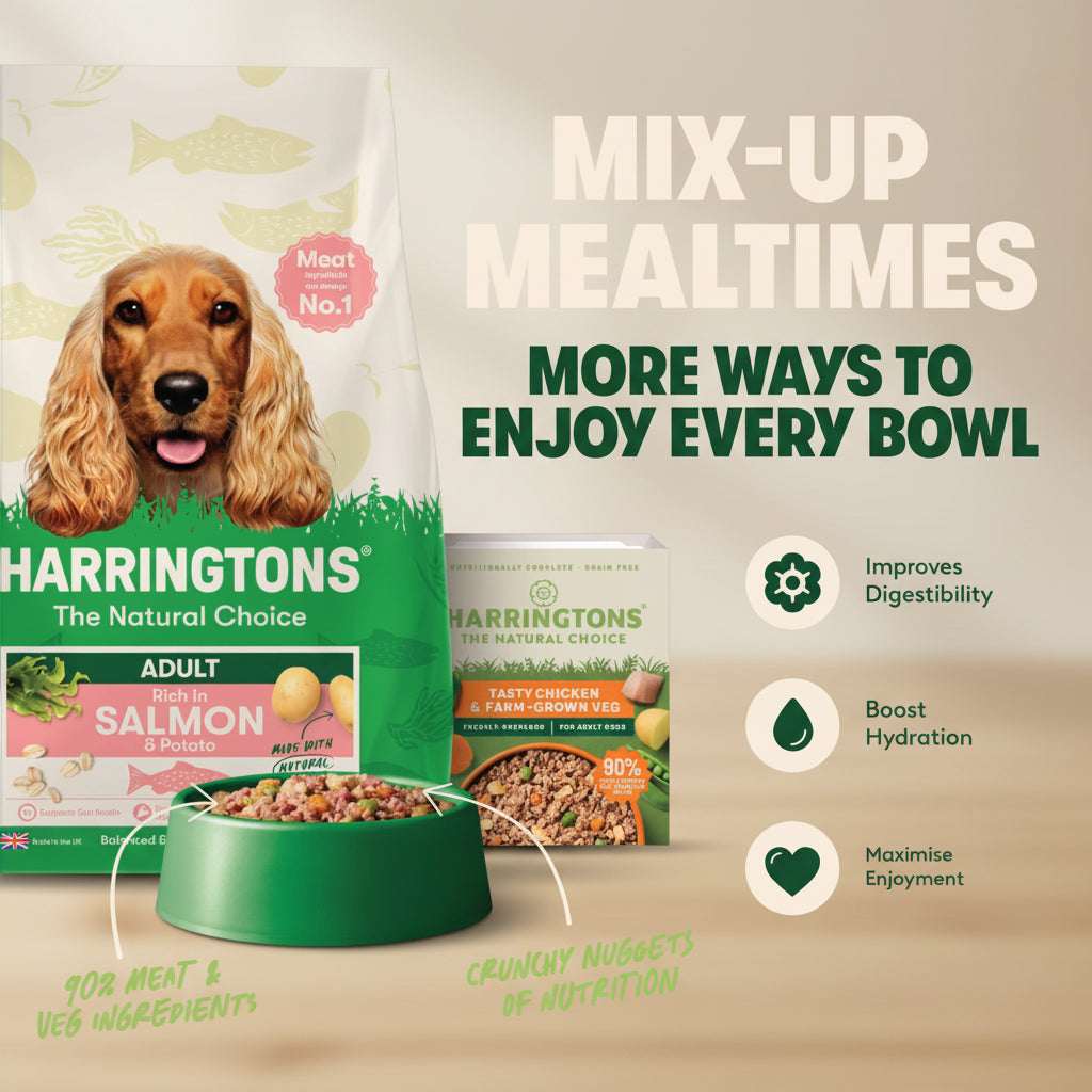 Harringtons dog food packaging with promotional text on a green background