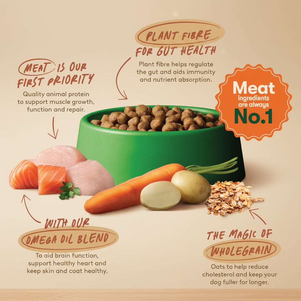Dog food bowl with ingredients and health benefits on a green background
