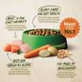 Dog food bowl with ingredients and health benefits on a green background