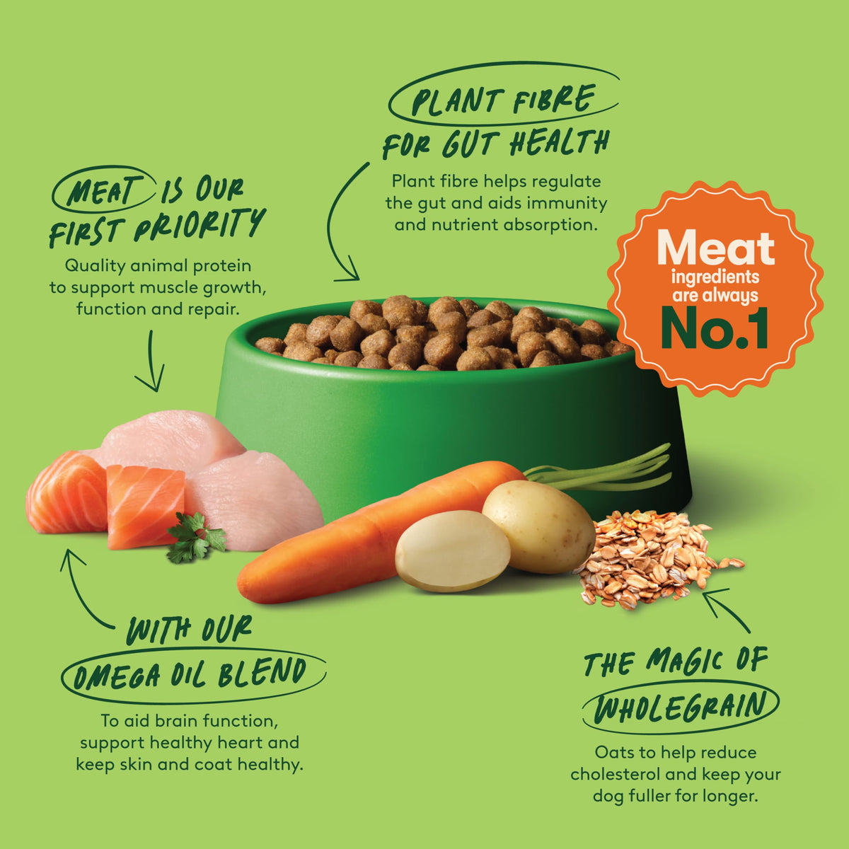 Dog food bowl with ingredients and health benefits on a green background