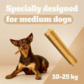 A small brown and black dog lies on a yellow-orange studio background while chewing a long, textured dog treat. Large white text reads 'Specially designed for medium dogs' and '10-25 kg'.