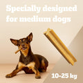 A small brown and black dog lies on a yellow-orange studio background while chewing a long, textured dog treat. Large white text reads 'Specially designed for medium dogs' and '10-25 kg'.