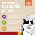 Cat food packaging with text about balanced meals, flavors, and ingredients on a blue background.