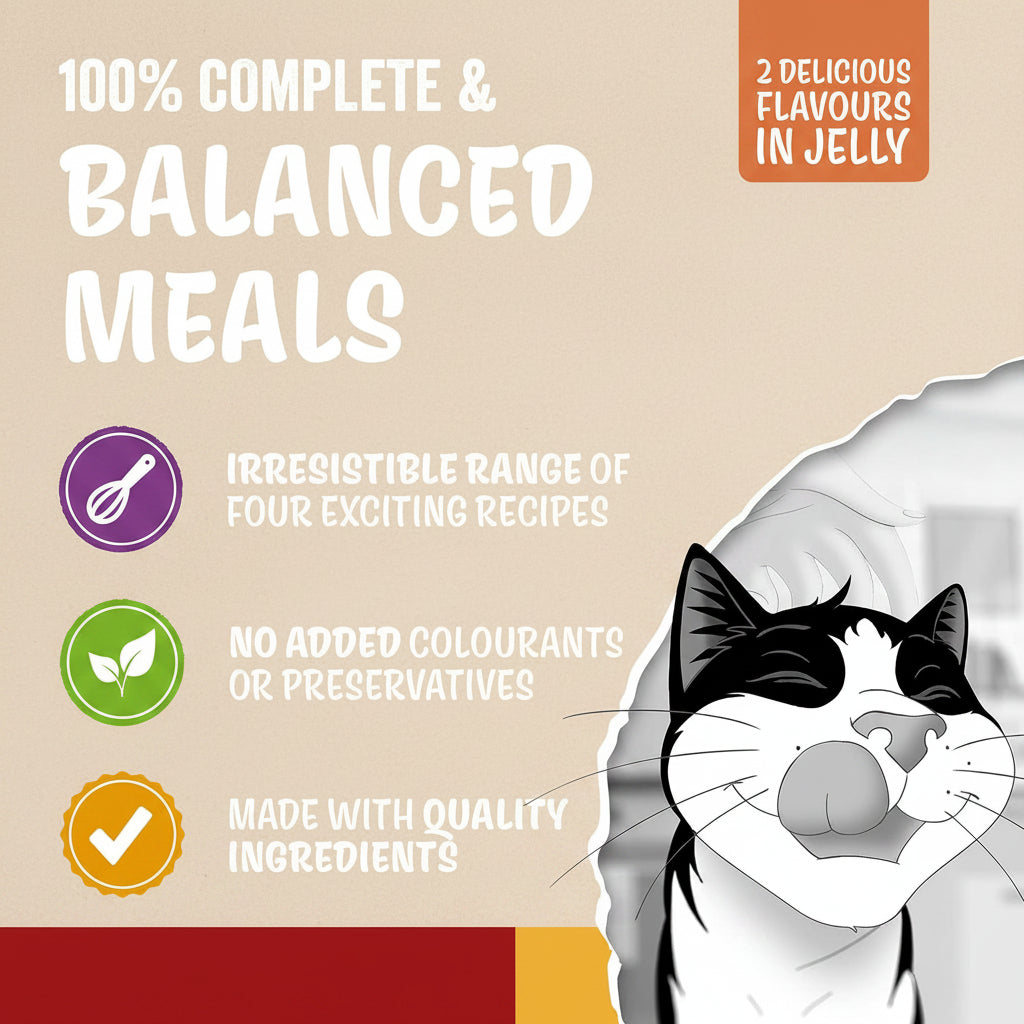 Cat food packaging with text about balanced meals, flavors, and ingredients on a blue background.