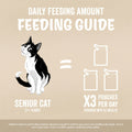 Feeding guide for senior cats with a cat illustration and text on a blue background