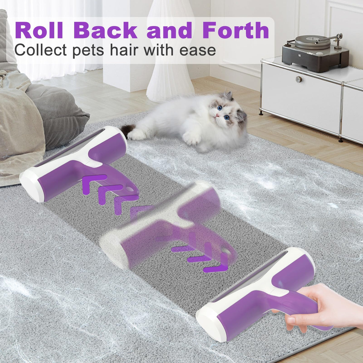 Pet hair removal tool on a carpet with a cat in the background