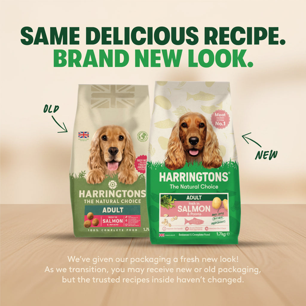 Promotional graphic for Harringtons dog food showing two bags of salmon adult dog food side by side, labeled 'OLD' and 'NEW', with the headline 'SAME DELICIOUS RECIPE. BRAND NEW LOOK.