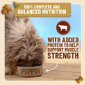 Dog eating from a bowl labeled 'Pippin' with text about nutrition and protein on a blue background.
