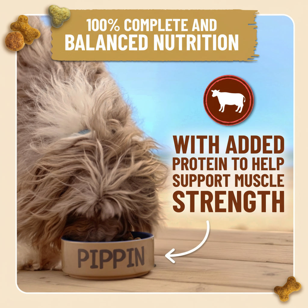 Dog eating from a bowl labeled 'Pippin' with text about nutrition and protein on a blue background.