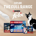 Promotional banner for Purina Felix cat food featuring a black-and-white cat on the right, a white gloved hand on the left, and several Felix pouches at the bottom against a blue background with the text 'EXPLORE THE FULL RANGE' and '40x JUMBO PACK'.