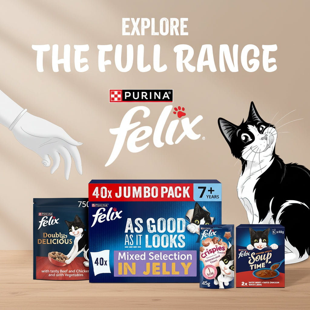 Promotional banner for Purina Felix cat food featuring a black-and-white cat on the right, a white gloved hand on the left, and several Felix pouches at the bottom against a blue background with the text 'EXPLORE THE FULL RANGE' and '40x JUMBO PACK'.
