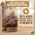 Dog eating from a bowl labeled 'Pippin' with text about complete nutrition and protein added for muscle strength.
