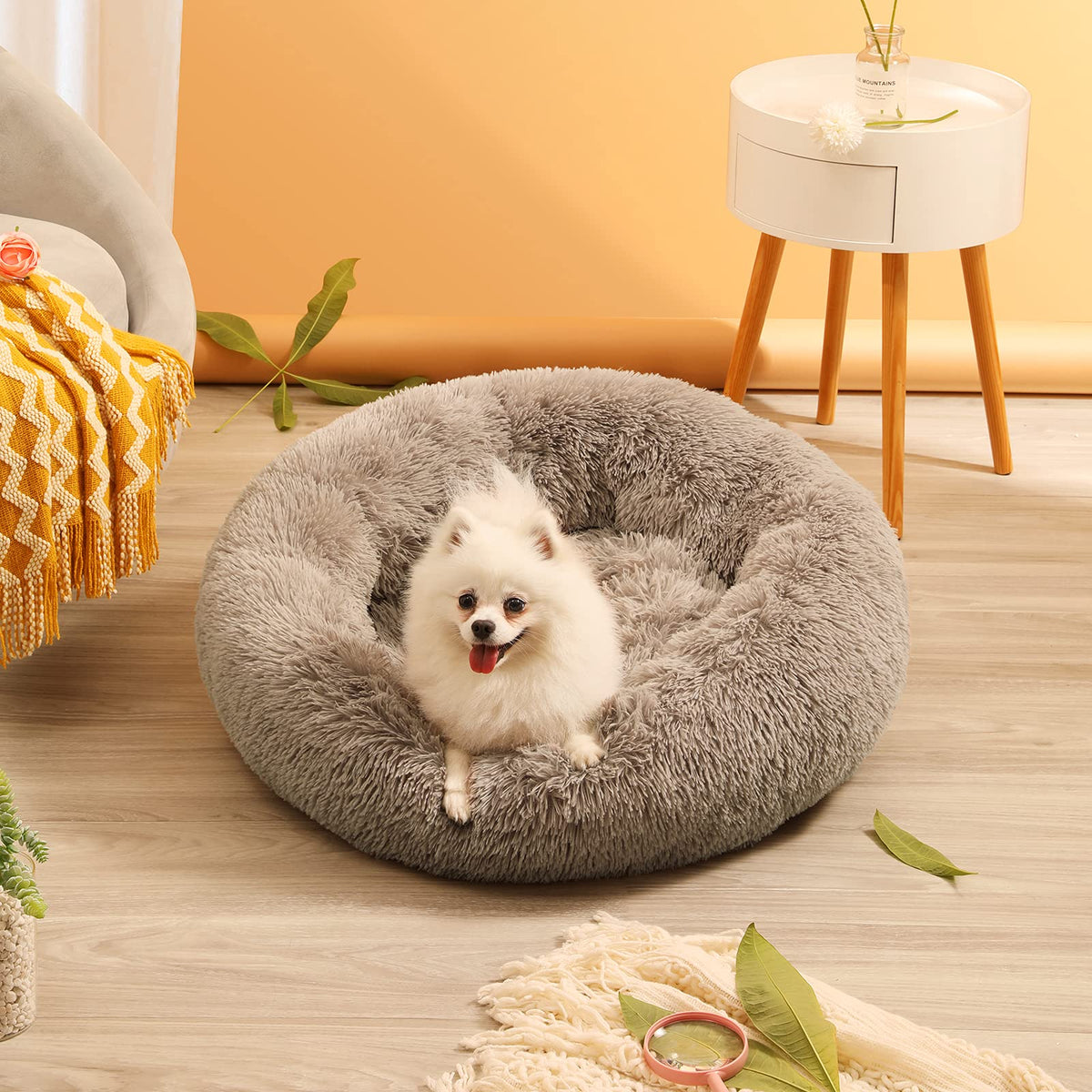 A small white dog sits inside a round, plush gray pet bed on a light wood floor in a warm, modern room with a yellow-orange wall and a white side table.