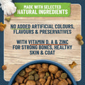 Dog food bowl with pet food, wooden board with text about natural ingredients and health benefits, and scattered dog treats.