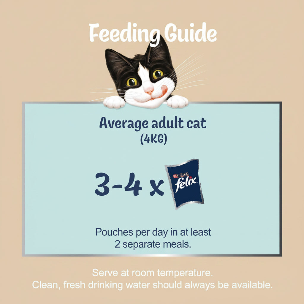 Feeding guide for Felix cat food with a cartoon cat on a blue background