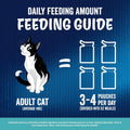 Feeding guide for adult cats with a cat illustration and text on a blue background