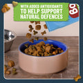 Dog food in a bowl with text about added antioxidants on a wooden floor.