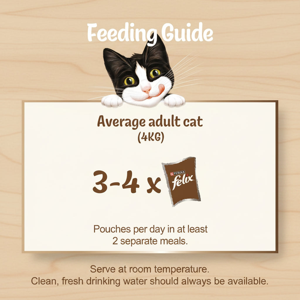 Feeding guide for Felix cat food with a cartoon cat on a blue background