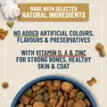 Dog food bowl with pet food and a label about natural ingredients and health benefits on a wooden background.