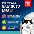 Promotional graphic for cat food featuring a black-and-white cartoon cat wearing a chef's hat, with text reading '100% COMPLETE & BALANCED MEALS' and bullet points about four exciting recipes, no added colorants or preservatives, and quality ingredients. A red badge says 'AS GOOD AS IT LOOKS IN JELLY.