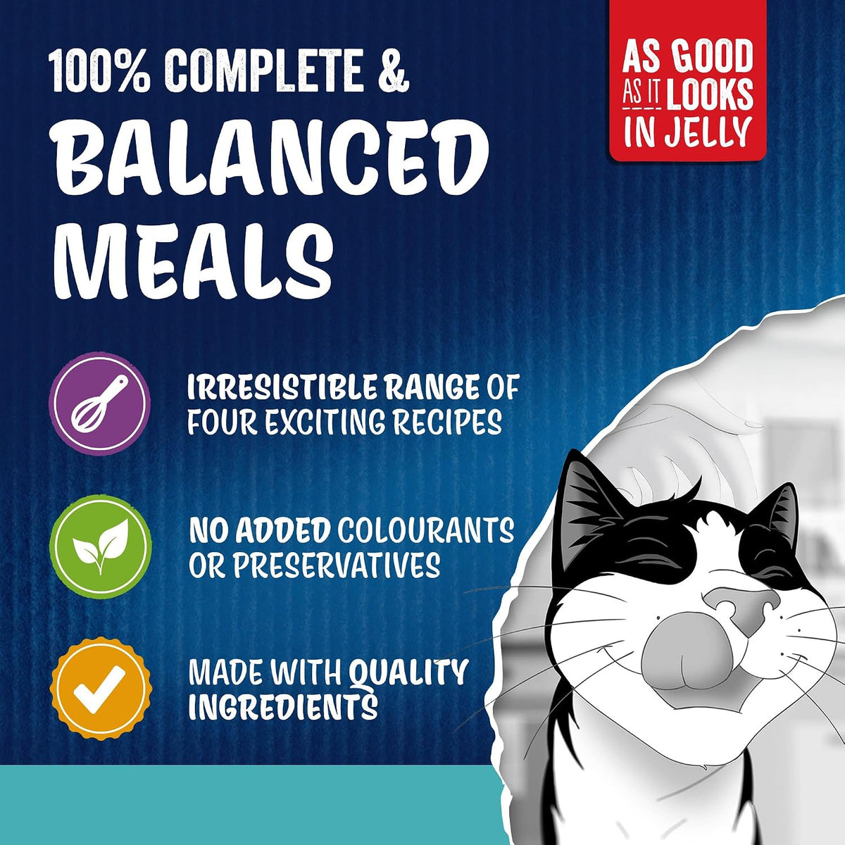 Promotional graphic for cat food featuring a black-and-white cartoon cat wearing a chef's hat, with text reading '100% COMPLETE & BALANCED MEALS' and bullet points about four exciting recipes, no added colorants or preservatives, and quality ingredients. A red badge says 'AS GOOD AS IT LOOKS IN JELLY.