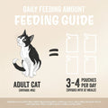 Feeding guide for adult cats with a cat illustration and text on a blue background