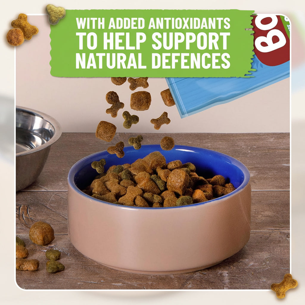 Dog food in a bowl with text about added antioxidants on a wooden floor.