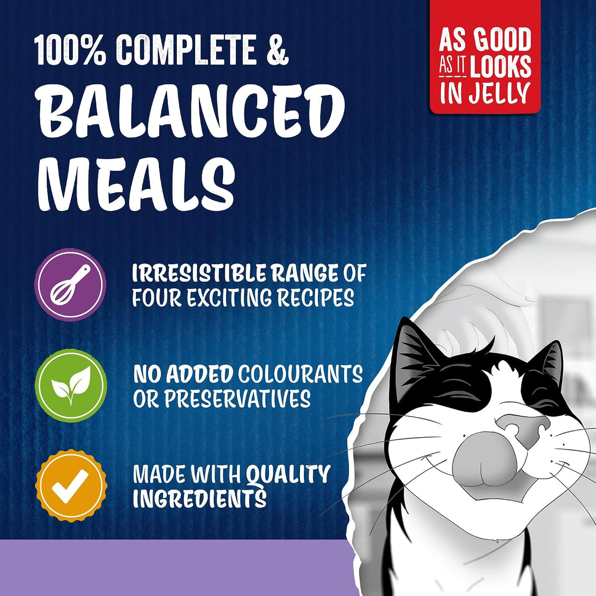 Advertisement for cat food with text about complete and balanced meals, recipes, and quality ingredients on a blue background.