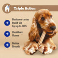 Promotional graphic for a dog dental product with a brown Cocker Spaniel holding a bone chew on a yellow-to-orange gradient background. Blue and white text reads 'Triple Action' and lists benefits: reduces tartar build-up by up to 80%, healthier gums, and better breath.
