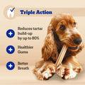 Promotional graphic for a dog dental product with a brown Cocker Spaniel holding a bone chew on a yellow-to-orange gradient background. Blue and white text reads 'Triple Action' and lists benefits: reduces tartar build-up by up to 80%, healthier gums, and better breath.