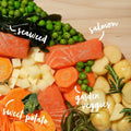 Assorted raw food items including salmon, seaweed, sweet potato, carrots, and garden veggies on a white background.