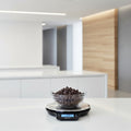 Glass bowl of chocolate chips on a digital kitchen scale with ingredients in the background