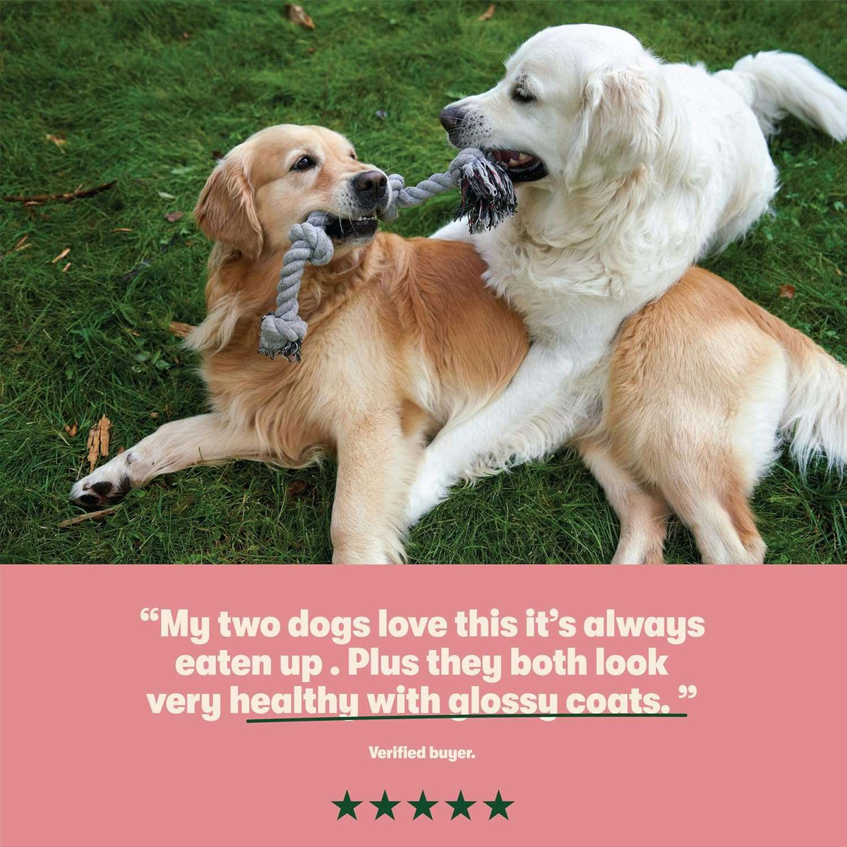 Two dogs playing with a rope toy on grass, with a quote about their satisfaction.