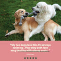 Two dogs playing with a rope toy on grass, with a quote about their satisfaction.