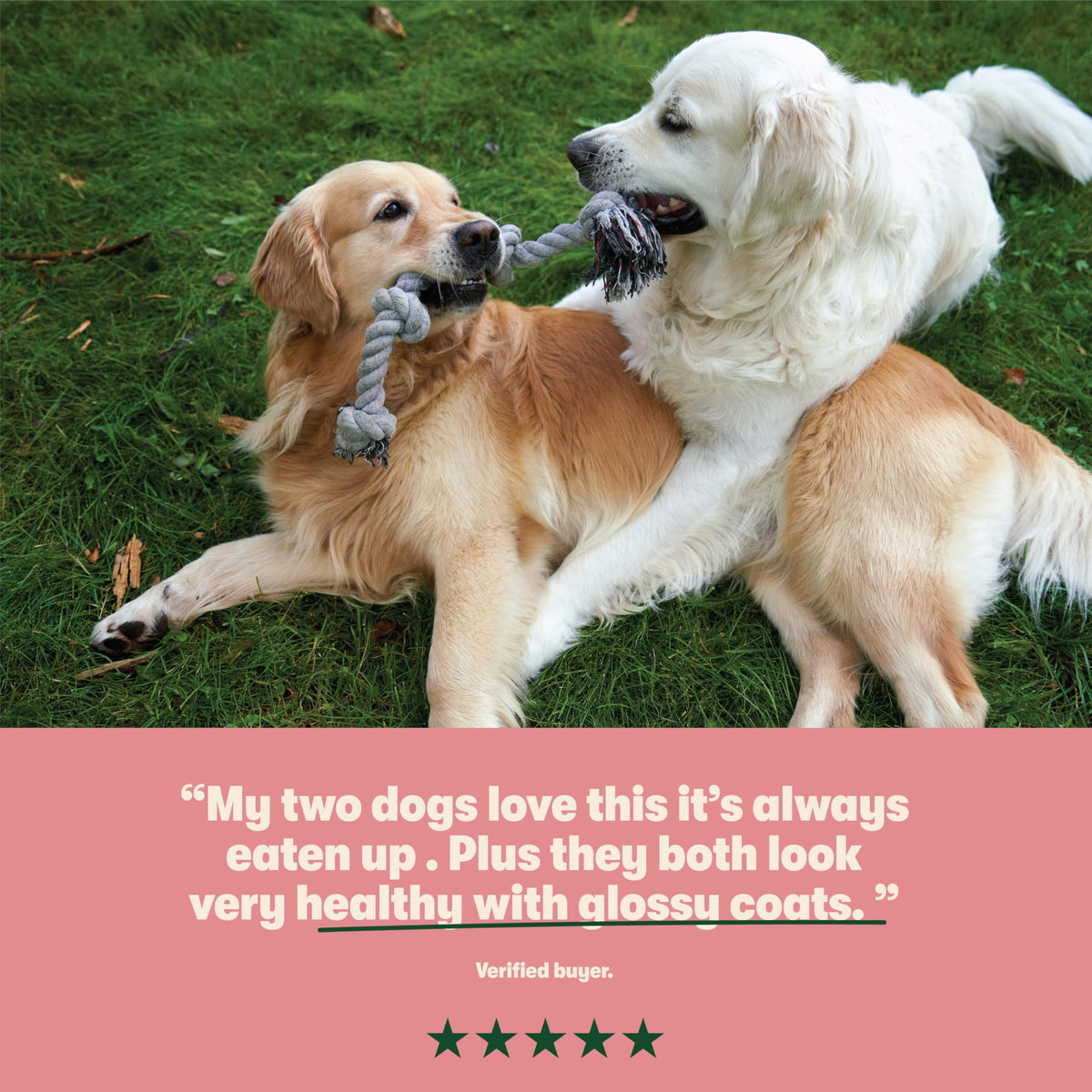 Two dogs playing with a rope toy on grass, with a quote about their satisfaction.